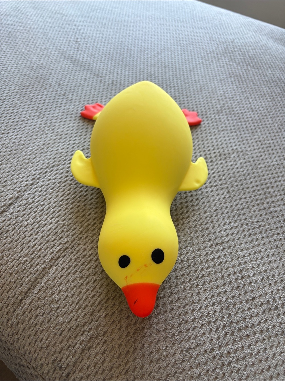 Viral Squishy duck